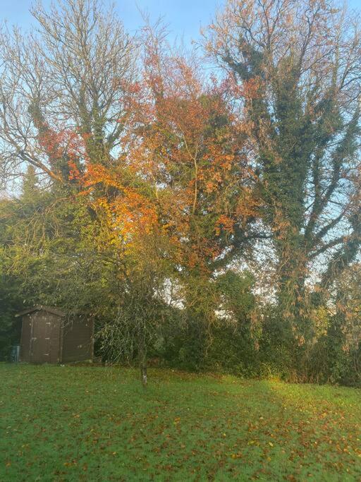 The Lodge-Cozy And Serene Home Cavan Exterior foto